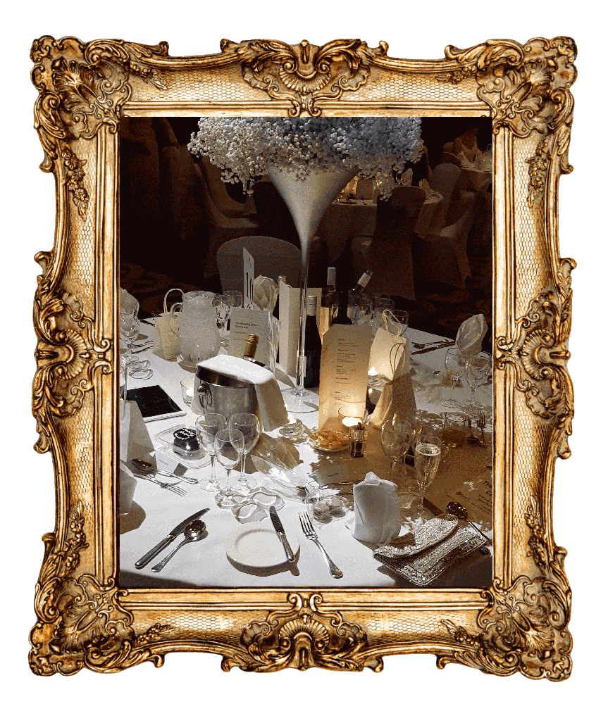 frame7 Wedding Dress Charity Ball 2023